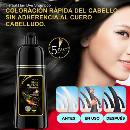 PIDE 1 Y LLEVA 2- Shampoo Black Hair Dye | Recupera tu tono natural sin tintes
